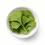 Ginkgo Biloba